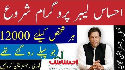 How to Apply in Ehsaas Labour Program - Choota Karobar  Imdad Package May 2020