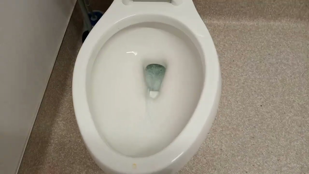 Family Dollar Dollar Tree Unisex Restrooms YouTube Family Dollar Dollar Tree Unisex Restrooms YouTube