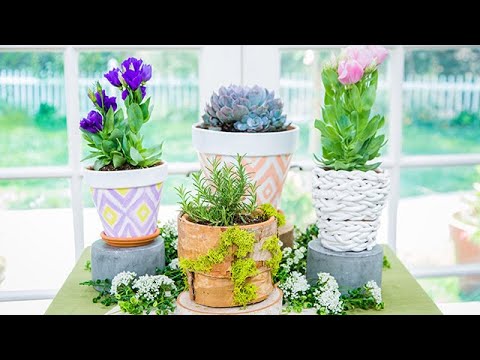 Video: Gör-det-själv-blomkrukor – enkelt hantverk för blomkrukor som hela familjen kan göra