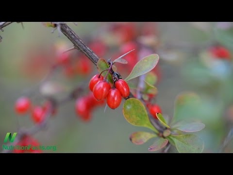 Treating Acne with Barberries