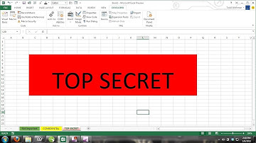 How to Hide and Unhide Worksheets & Make Worksheets Very Hidden VBA Editor