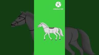 Green screen horse running video/green screen horse running effect/