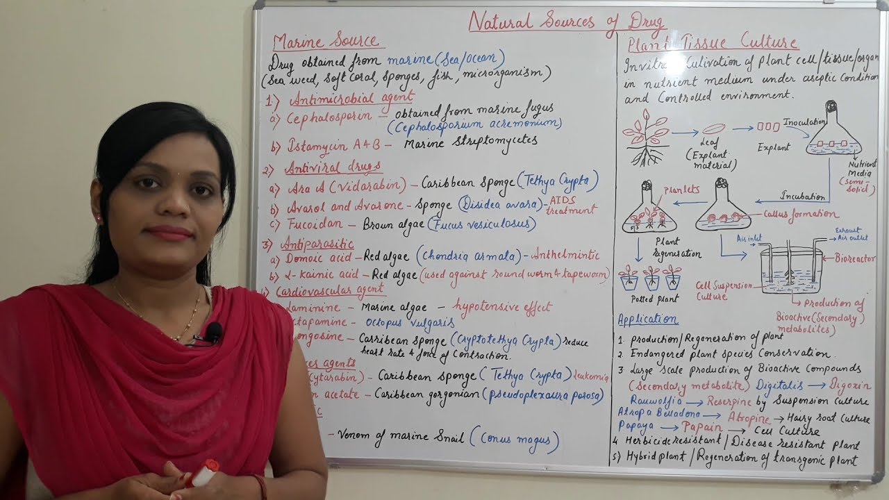 Classification Of Crude Drugs Part 01 By Solution Pharmacy In Hindi Hindi Youtube