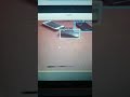 Image Detection with YOLO Real Time YOLO with Webcam