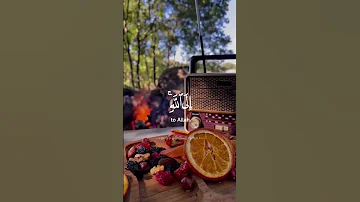 وافوض امري الى الله ان الله بصير بالعباد القارئ عبد الباسط عبد الصمد 
