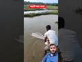 net fishing video | when fisherman show moment under the water he threw fishing net  #fishing #fish