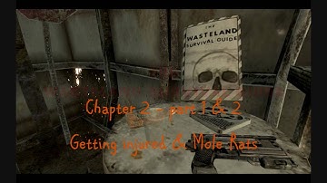 Fallout 3 Wasteland Survival Guide c2p1&2 Getting injured & Mole Rats