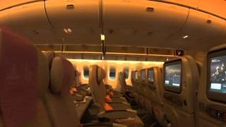 20150227 00 Russia Moscow DME Airport 004