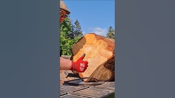 circular sawing of a large pine log #apusampo #sawmill #woodworking