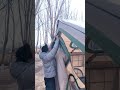 Xiao Bai's Winter Camping Adventure: Embracing the Cold with Passion