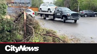 Picking up the pieces after wind, rain, and cold finally ease off in Calgary