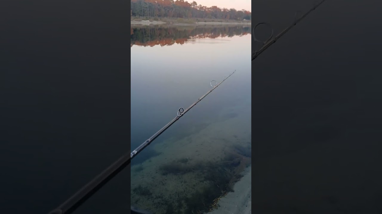 October 27th bass fishing 🎣
