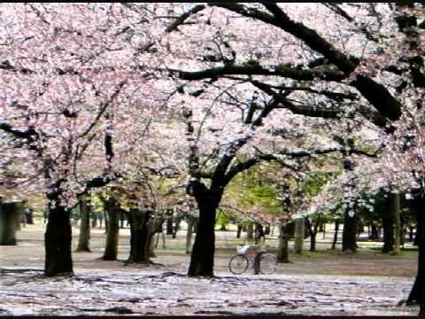 JENDELA HATI#DRWAN#FIRDAUS