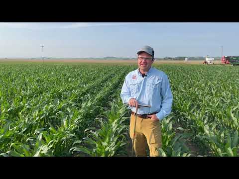 Crop Evapotranspiration and