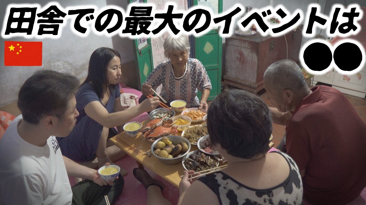 中国遼寧省の田舎でのリアルな生活｜田舎の猫との時間