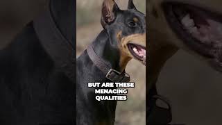 Guardians Unleashed: The Mighty Doberman Pinscher - A Formidable and Fearless Protector