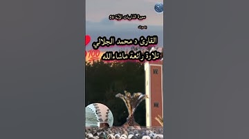 سورة الذاريات الآية 56 بصوت القارئ د محمد الجلالي تلاوة رائعة ماشاءالله 💯♥️.     #اكسبلور