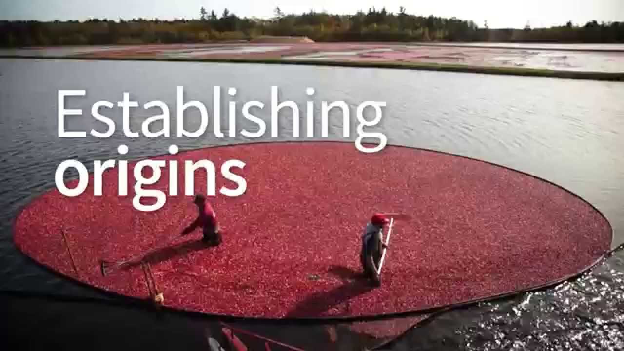 NATUREX, accelerating innovation