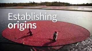 Naturex, Accelerating Innovation