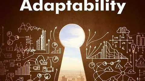 Embracing Change: Adaptability as a Key to Success