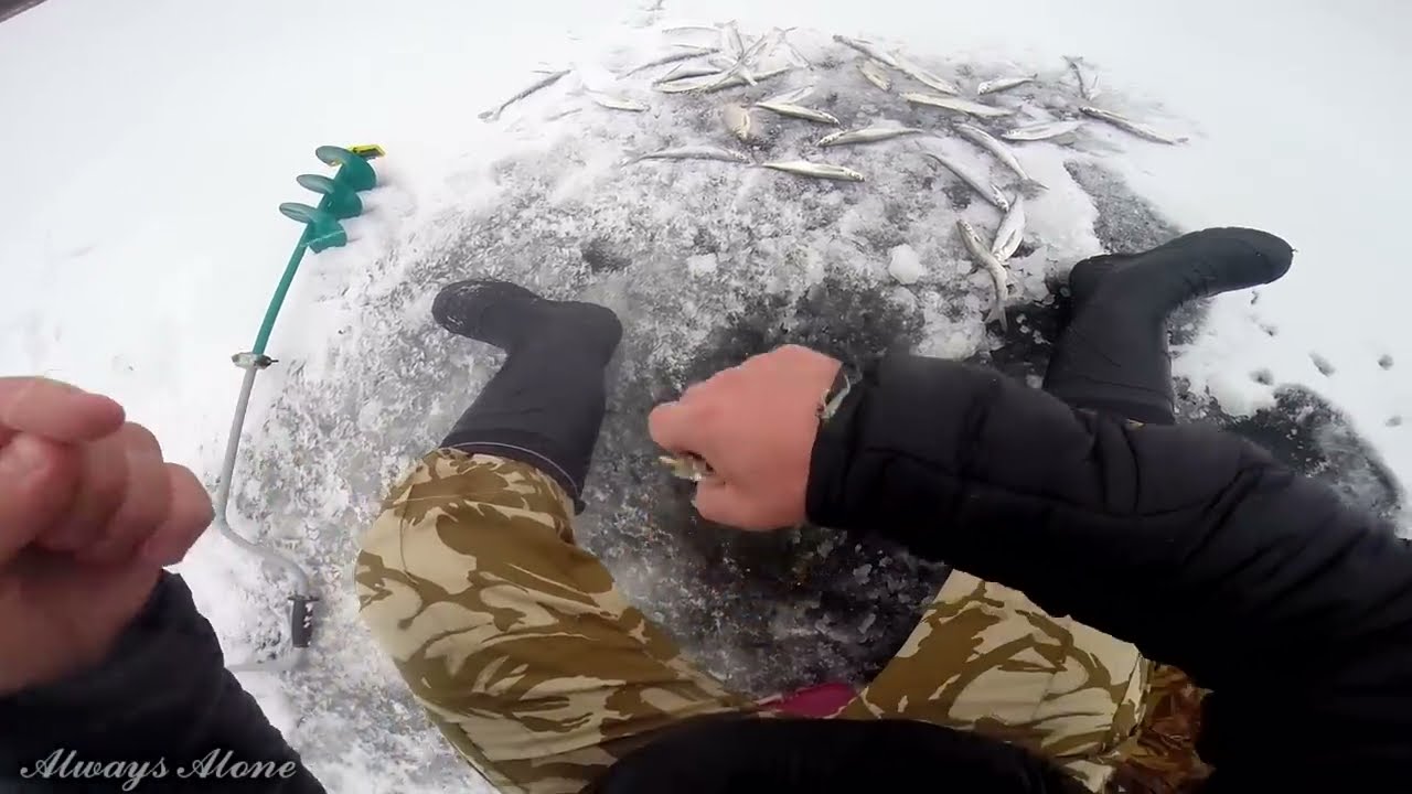 Зимняя рыбалка. Отличный клёв. Чехонь. Рыбалка на льду.