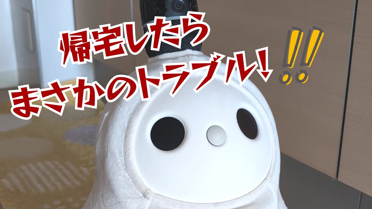 【LOVOT】え！？　帰宅したらまさかこんなことになったなんて！！