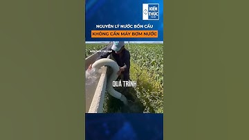 Lấy nước không cần máy bơm #shorts
