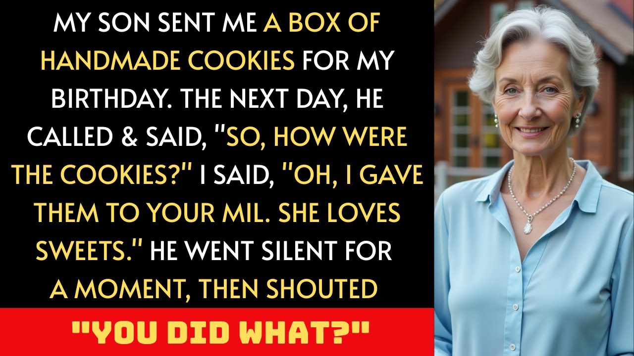 My Son Sent Me A Box Of Cookies For My Birthday, But I Gave Them To His MIL Then…