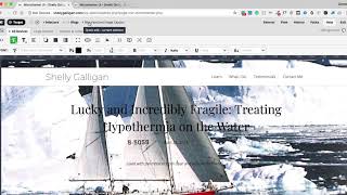 SG - Working in Microthemer Demo