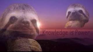 Knowledge is Power - COGS 110 Final Project