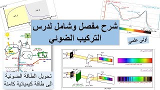 شرح مفصل وبسيط لدرس التركيب الضوئي اليات تحويل الطاقة الضوئية الى طاقة كيميائية كامنة