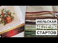 Июльская неделя стартов: Овен, Чудесная игла, Жар-птица, Кларт, Риолис.