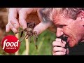Gordon Ramsay Tries To Eat A Fried Spider In Cambodia | Gordon's Great Escape