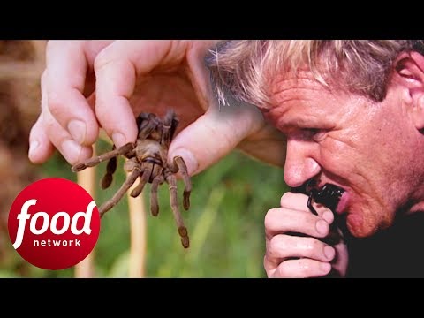 Gordon Ramsay Tries To Eat A Fried Spider In Cambodia | Gordon&rsquo;s Great Escape