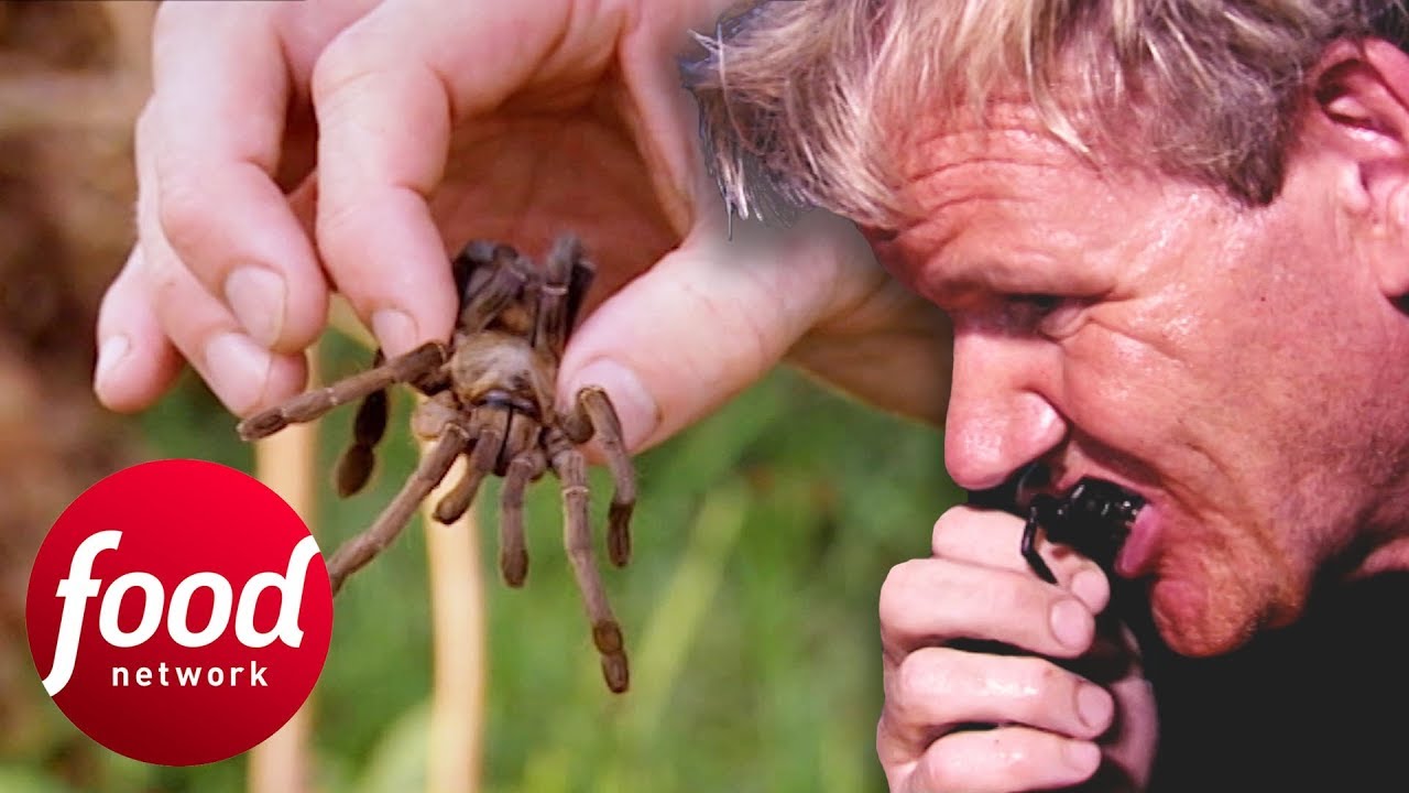 Gordon Ramsay Tries To Eat A Fried Spider In Cambodia | Gordon'S Great Escape