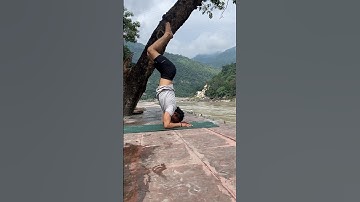 How to do vrishchik asana | elbow stand
