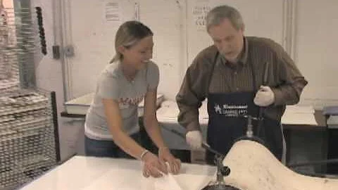 Marist Dean's Videologue: Art & Art History