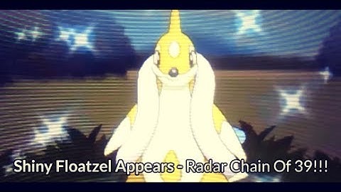 Shiny Floatzel Appears After Chain Of 39!!