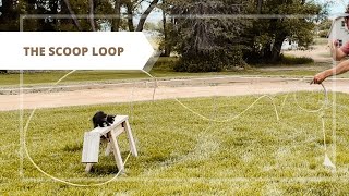 The Scoop Loop Wealth