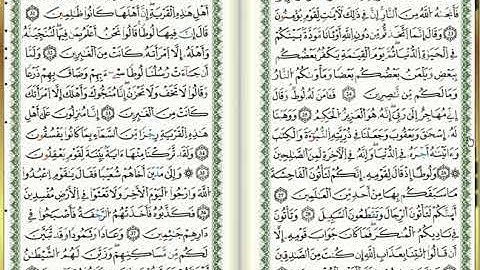 س29-العنكبوت - أحمد خضر الطرابلسي - برواية قالون عن نافع - مصحف التجويد الملوّن