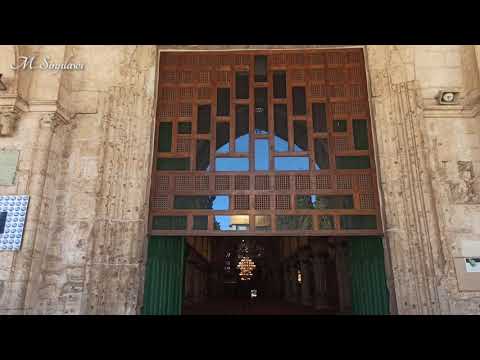 طالما اشكو غرامي يا عذولي لا تلمني