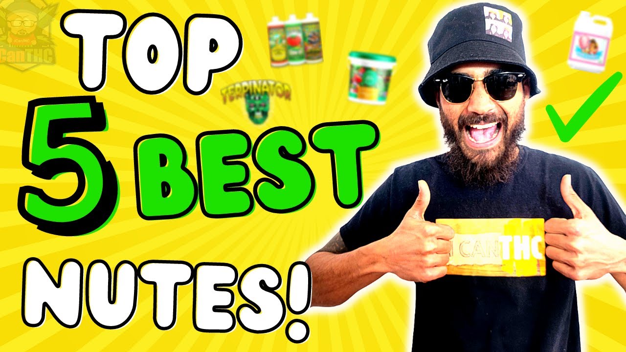 TOP 5 BEST NUTES FOR AMAZING PLANTS IN 2024!
