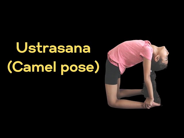 Same Shape, Different Yoga Pose - YogaUOnline