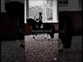(To jest szablon) 💞 #horse #equestrian #equestrianjourney #plslikesubscribe