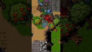 Tibia Monk 213 2.7kk raw 600k profit Book World Chapter 3.