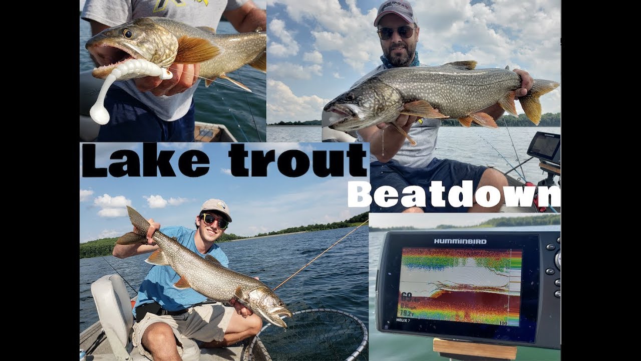 Incredible Day of Lake Trout Fishing in the Summer Lake Trout