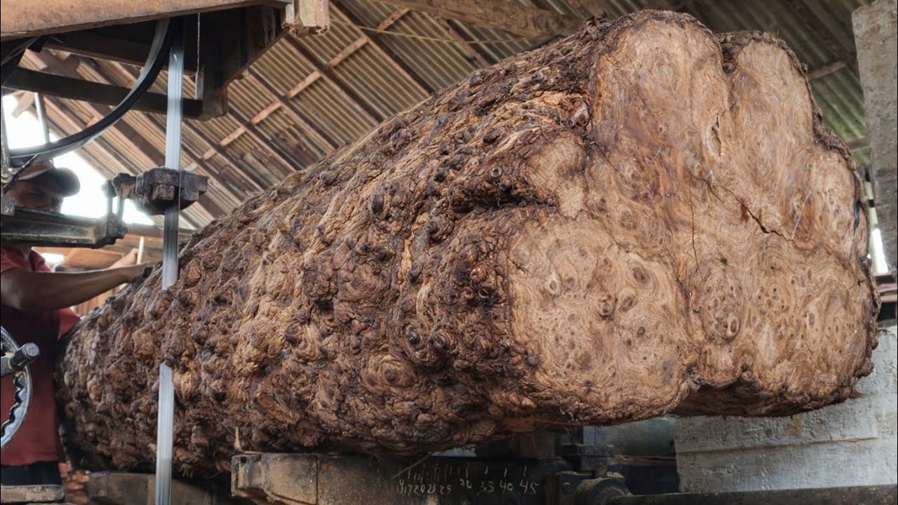 The fall of high-value, densely textured super teak wood