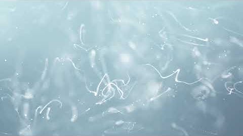 White clean abstract particle lines pattern background