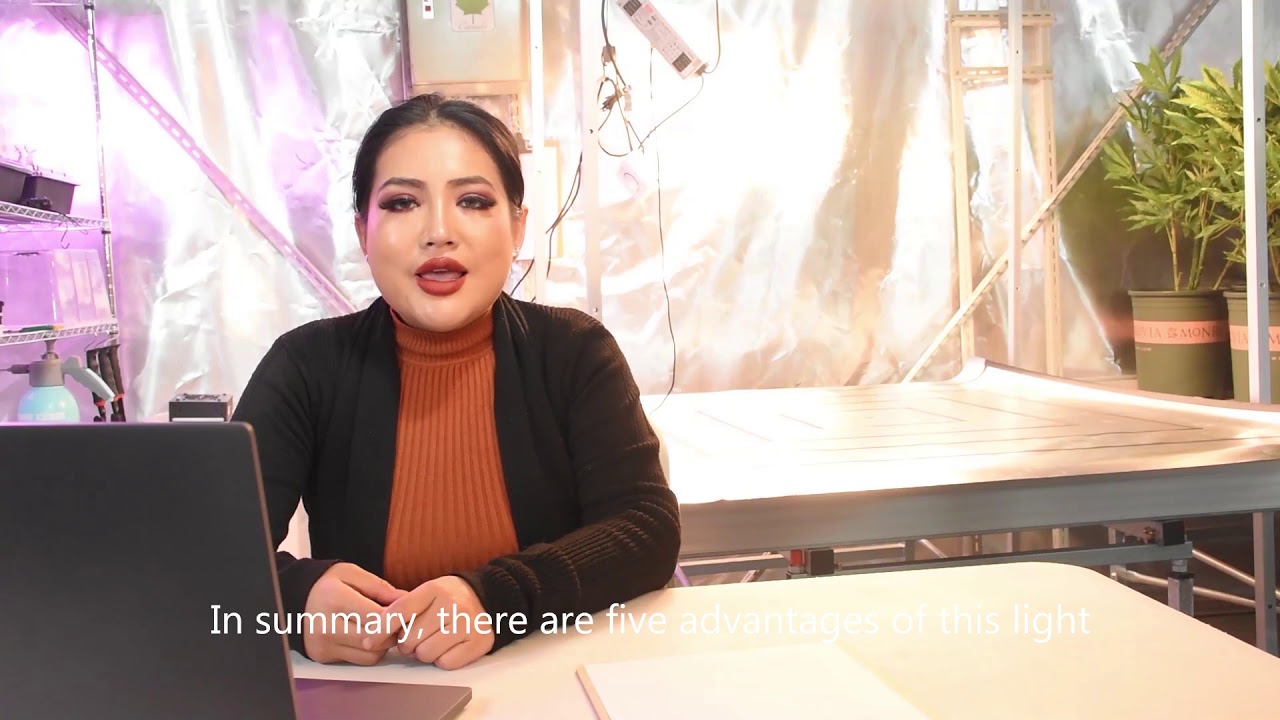 Eco Farm 240W LM301B LED Quantum Board Review, PAR Testing-Part 4