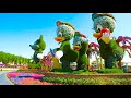 Dubai miracle garden the largest flower garden in the world